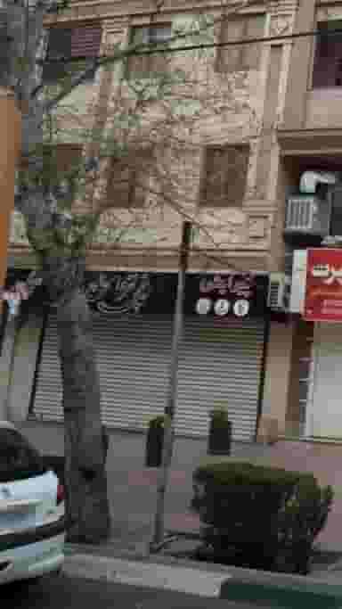 پیرایش قیچی نقره ای در کوهک
