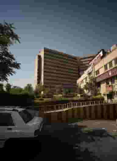 آرایش آزالیا در شهرک اکباتان