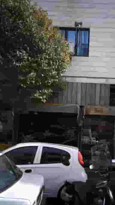 پیرایش برادران در افسریه شمالی