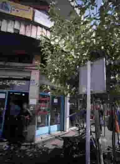 آرایش نسیم در گرگان