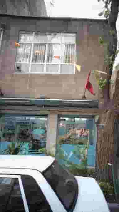 پیرایش یاران در نازی آباد