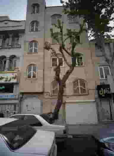 سالن زیبایی رز طلایی در تهرانپارس