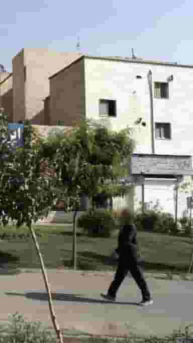 پیرایش شاهین در تهرانپارس شرقی