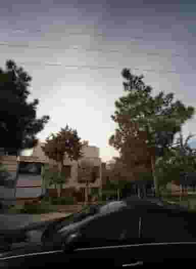 پیرایش چلسی در حکیمیه