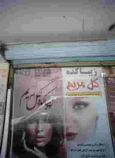 زیباکده گل مریم در شمیران نو