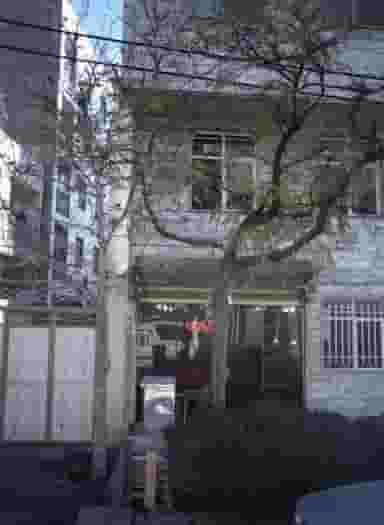 آرایش سرو در مرزداران