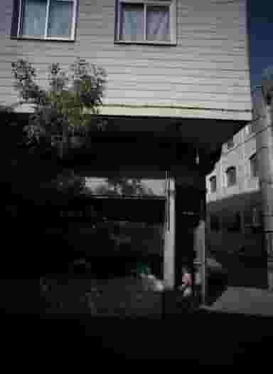 پیرایش سیاوش در زهتابی