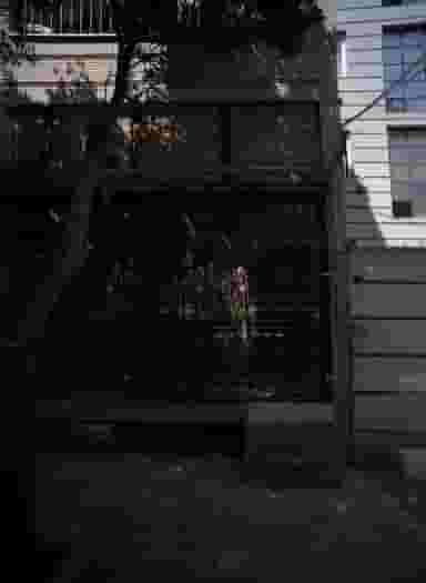 پیرایش رضا در کیانشهر شمالی