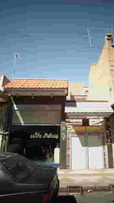 پیرایش رادژور در خزانه