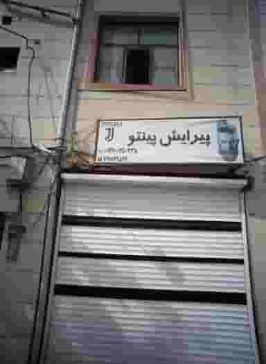 پیرایش پنیتو در شمیران نو