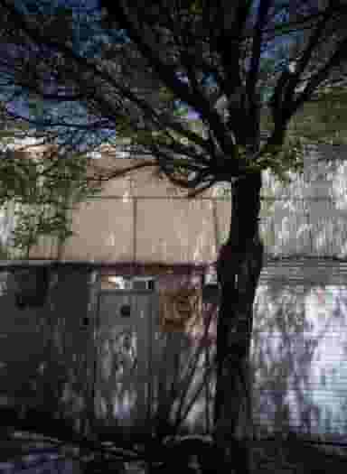 سالن آرایش الیسا در خزانه