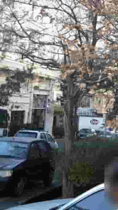 پیرایش چهره نما در جنت آباد جنوبی