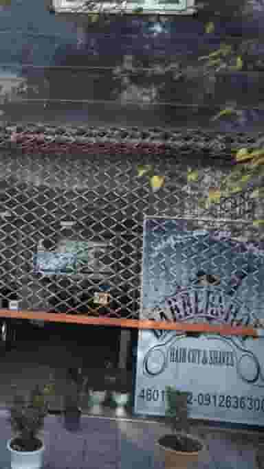 پیرایش سیروس در جنت آباد مرکزی