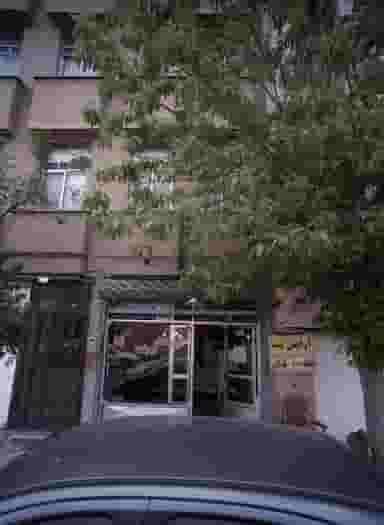 آرایش نیما در امامزاده عبدالله