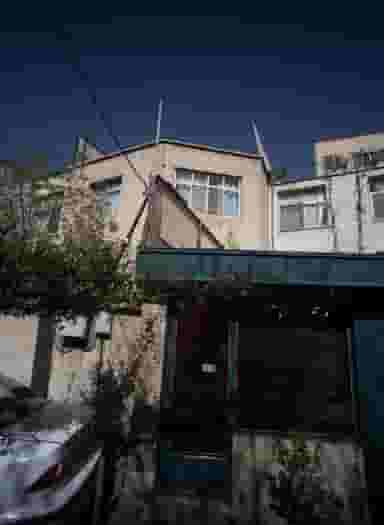 آرایش نخل در حکمت