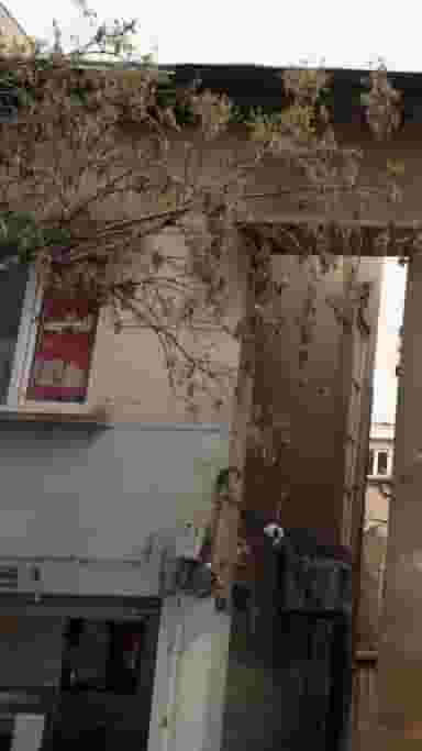 سالن زیبائی شانا در نازی آباد