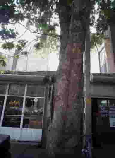 تراشکاری نوین در سلیمانی