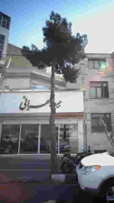 جیب طهران در امامت