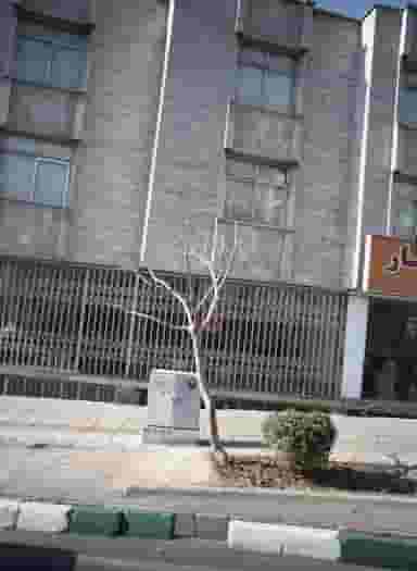 نمایشگاه اتومبیل در پونک شمالی