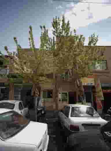 قهوه خانه حیدر در اتحاد