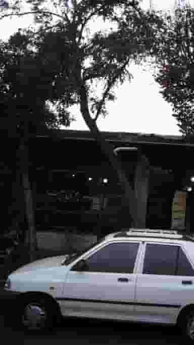 چایخانه بوی سیب در هاشم آباد