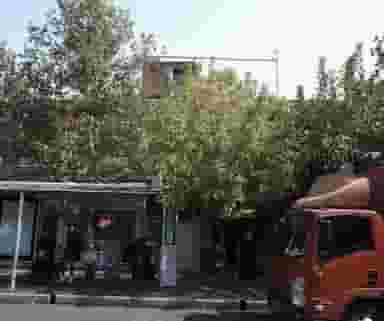 فروشگاه خشکبار ایلیا در حشمتیه