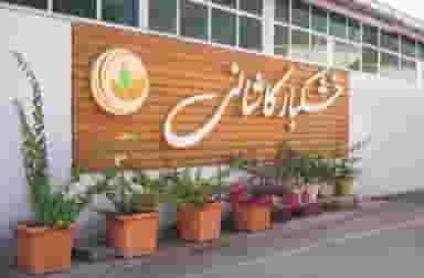تولیدی خشکبار کاشانی ری