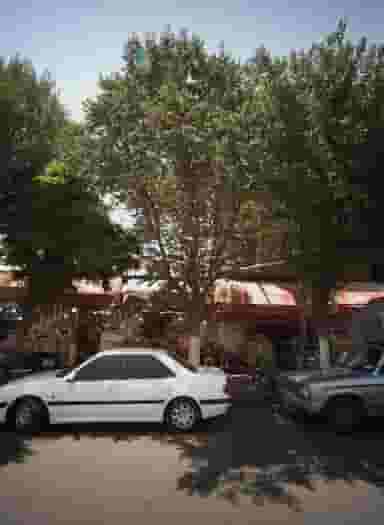 خشکبار نورانی در مولوی