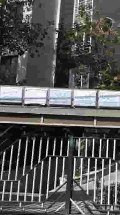 فرانک تیز هوش در صدر