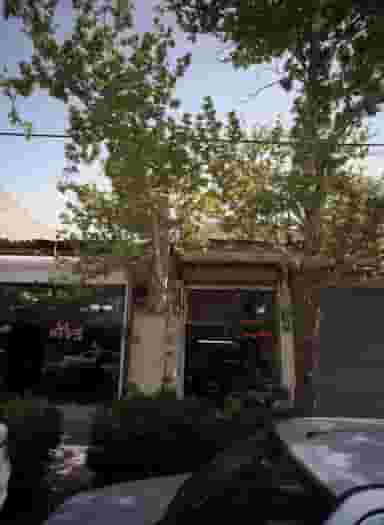 خیاطی نظری در خاک سفید