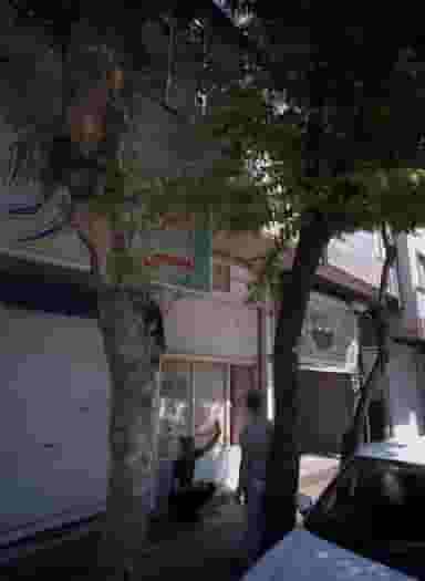 آبمیوه بستنی میرزا در گلچین