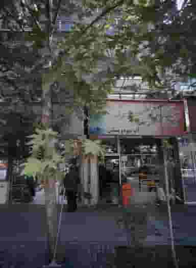 ویتامین البرز در منیریه