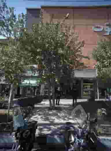 پوشاک راحت در هفت حوض