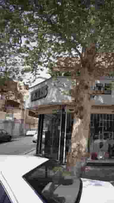 تتیس فروشگاه بِلّو در نازی آباد