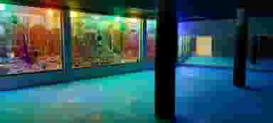 باشگاه جام جم در محله طوقچی اصفهان 