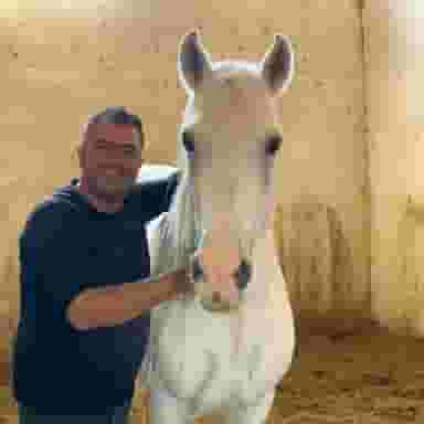 مجموعه پرورش اسب کُرد شورش شیرازی اصفهان