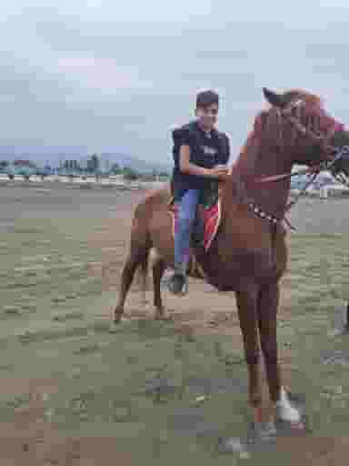 باشگاه چوگان نقش جهان اصفهان