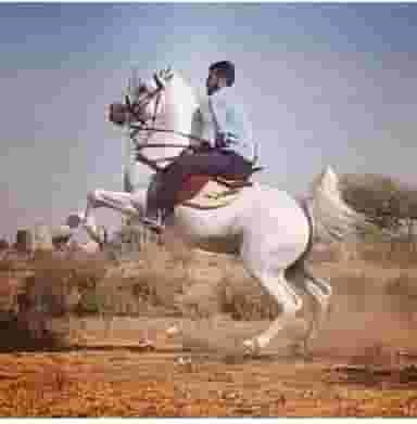 مجموعه پرورش اسب آهو زارع در محله عاشق آباد اصفهان 