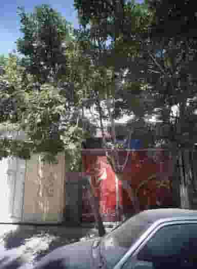 سالن زیبایی نازنین در کوی سیدی مشهد 