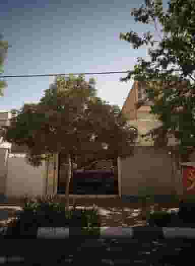 پیرایش شاهین در محله راهنمایی مشهد 