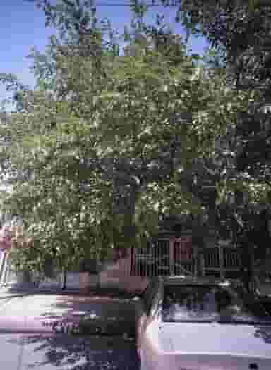 آرایشگاه نوین در محله طبرسی شمالی مشهد 