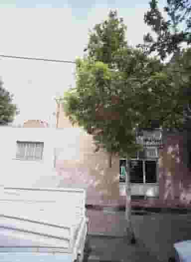 پیرایش سید در محله ایثارگران مشهد 