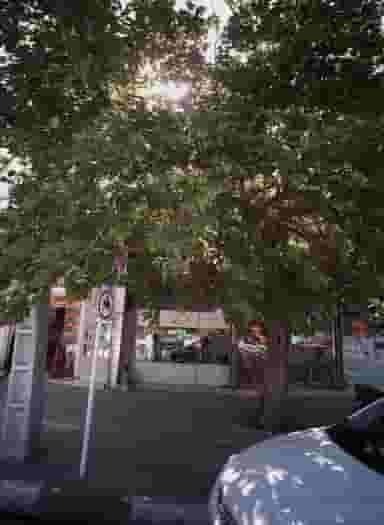 پیرایش ستار در محله حضرت ابوطالب مشهد 