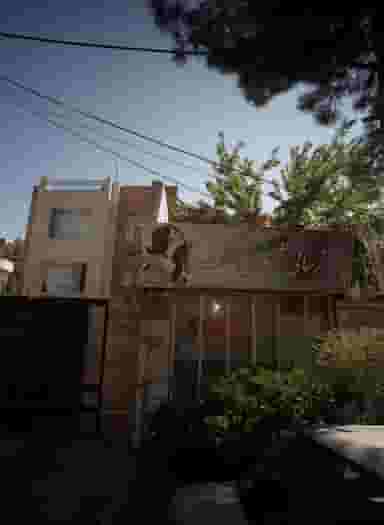 زیبایی ژینوس تک در محله آب و برق مشهد 