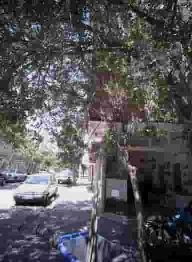 پیرایش تات در محله ایثارگران مشهد 