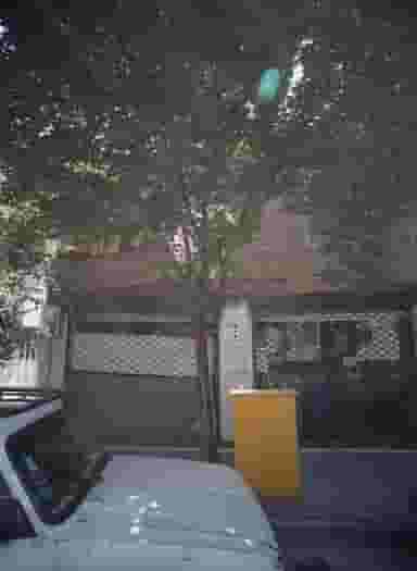 فروشگاه پوشاک در طیب