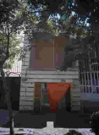 زیبایی یاس در محله امام خمینی مشهد 