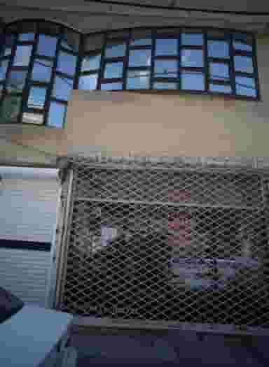 پیرایش بیات در محله رده مشهد 