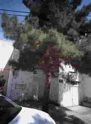 زیبایی رخ آرا در محله گوهرشاد مشهد 