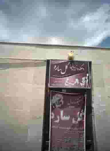 دهکده زیبایی گل ساره در محله حسین آباد مشهد 